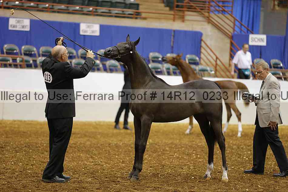 Proof 14r12_0233