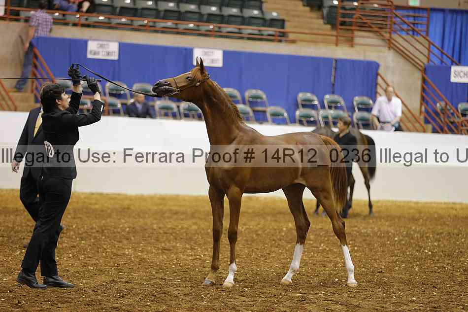 Proof 14r12_0236
