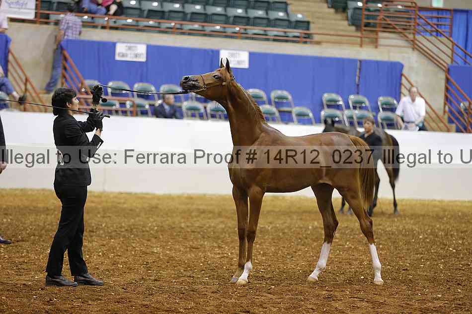 Proof 14r12_0237