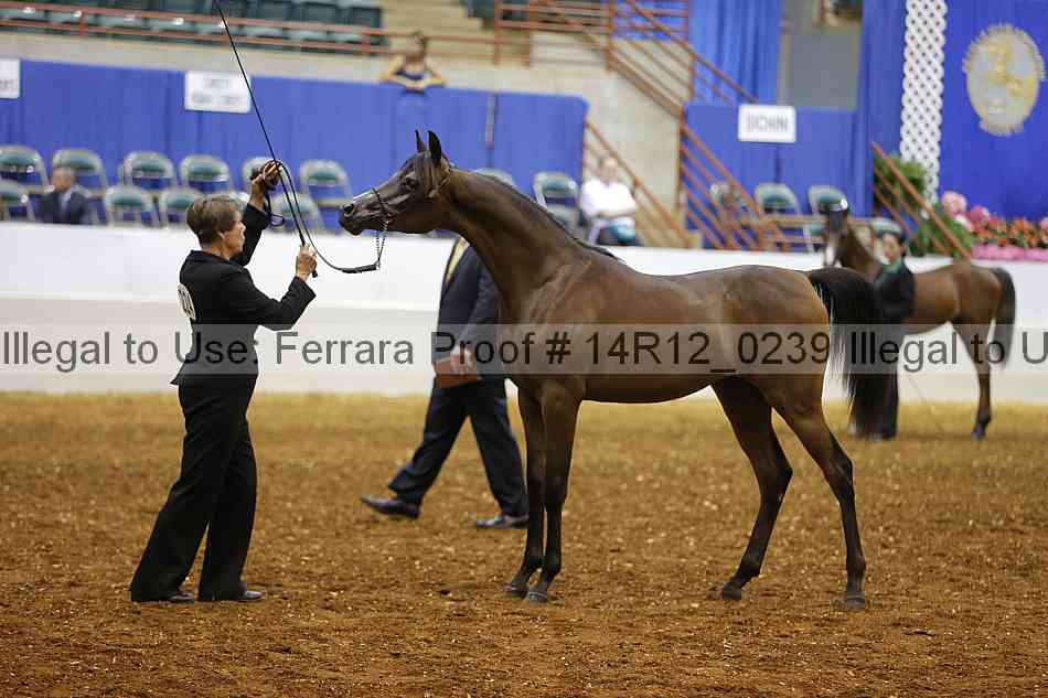 Proof 14r12_0239