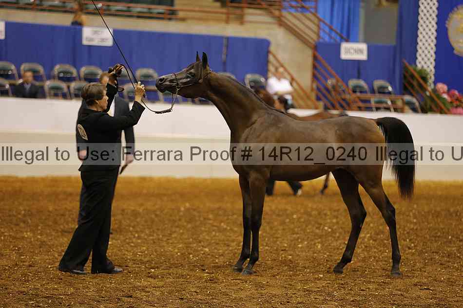 Proof 14r12_0240