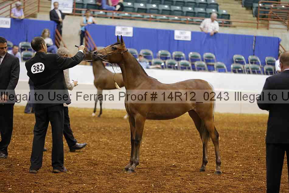 Proof 14r12_0243