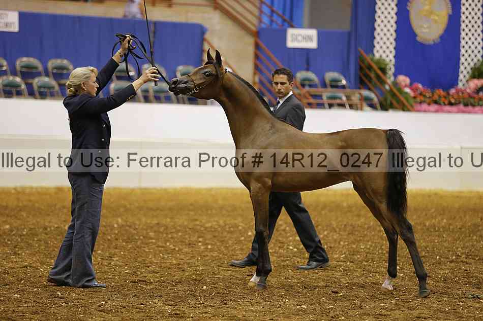 Proof 14r12_0247