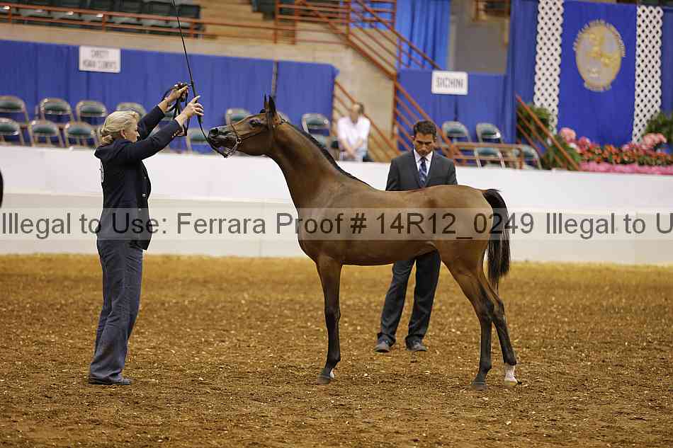 Proof 14r12_0249