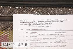 14r12_4399 proof