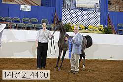 14r12_4400 proof