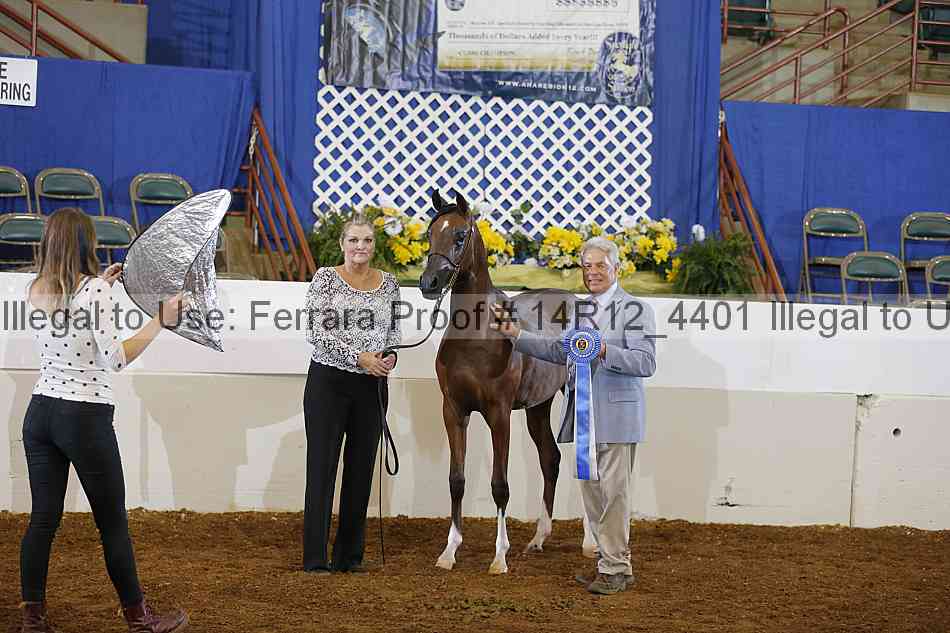 Proof 14r12_4401
