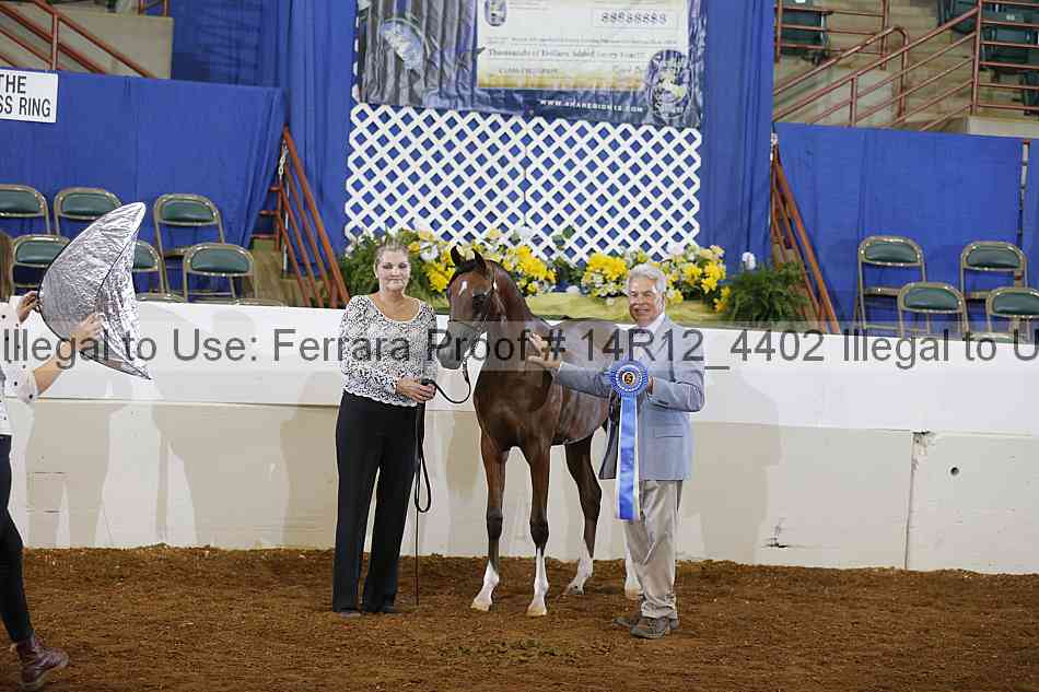 Proof 14r12_4402