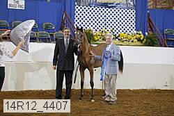 14r12_4407 proof
