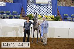 14r12_4409 proof