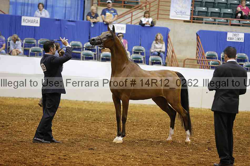 Proof 14r12_0262