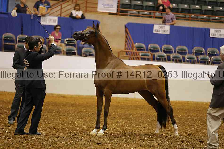 Proof 14r12_0263