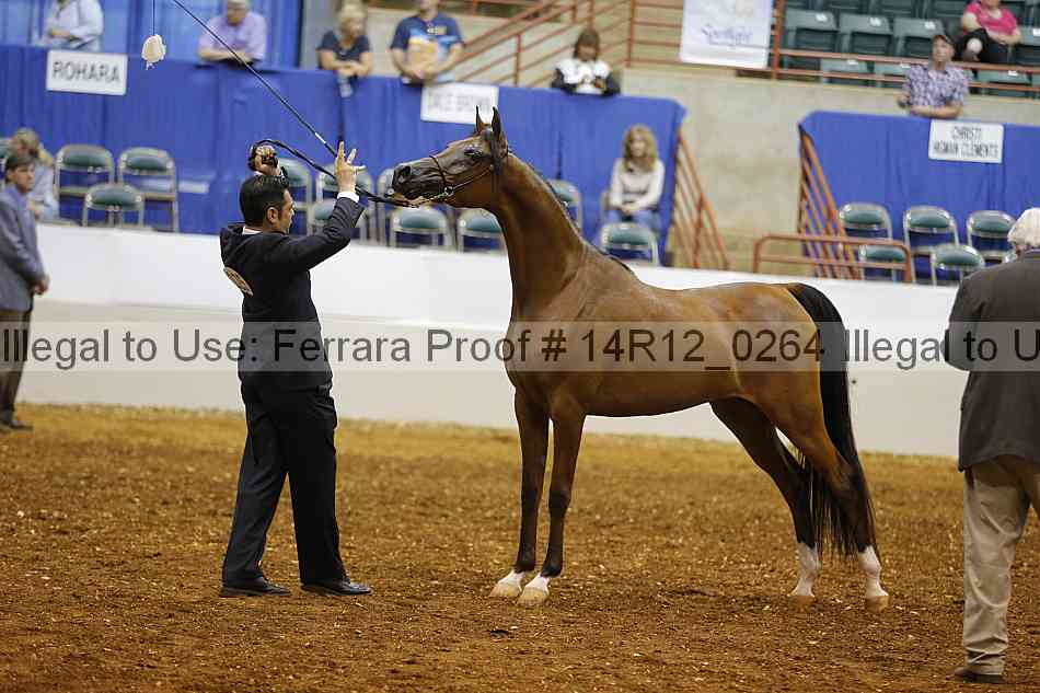 Proof 14r12_0264