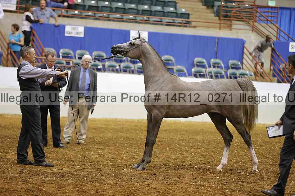 Proof 14r12_0271