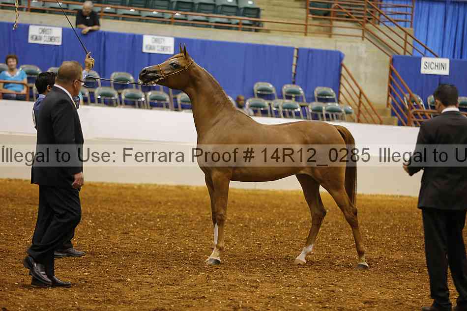 Proof 14r12_0285