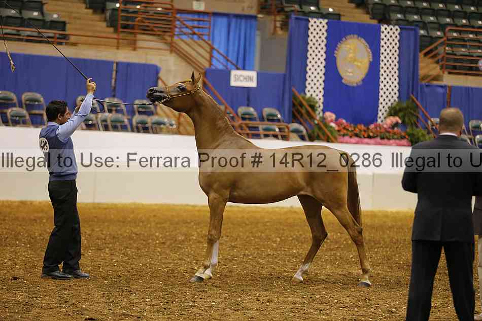 Proof 14r12_0286