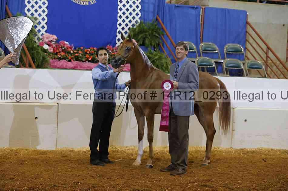 Proof 14r12_0293
