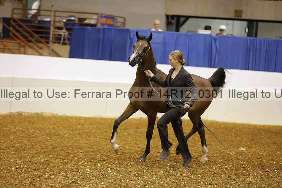 Proof 14r12_0301