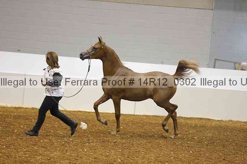 Proof 14r12_0302