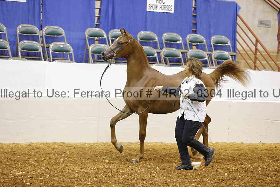 Proof 14r12_0304