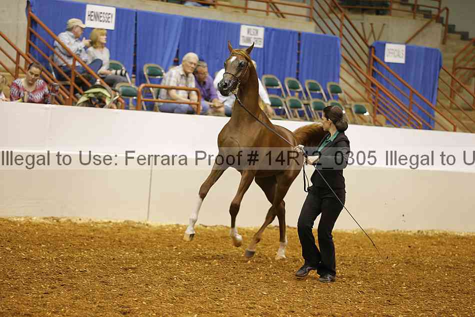 Proof 14r12_0305