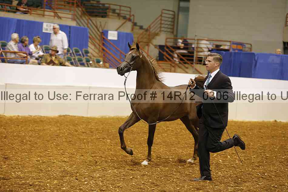 Proof 14r12_0306