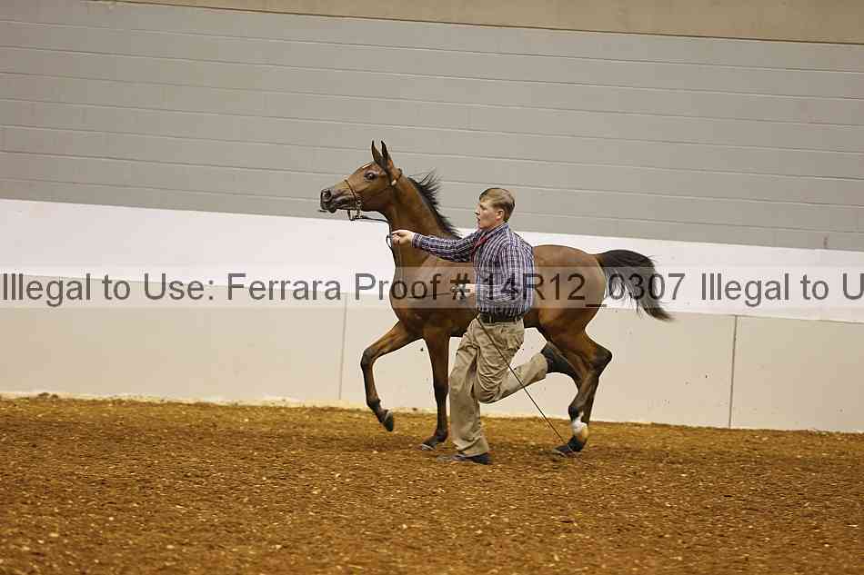 Proof 14r12_0307