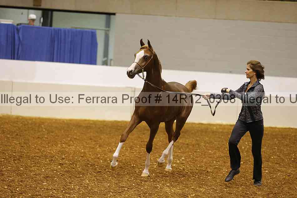 Proof 14r12_0308