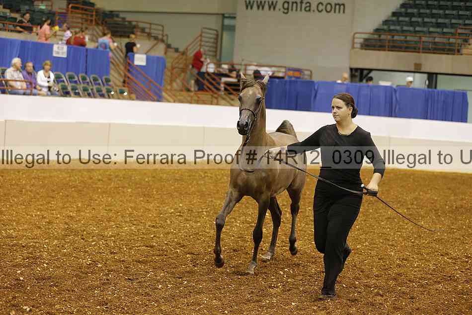 Proof 14r12_0309