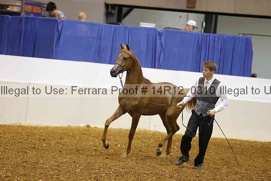 Proof 14r12_0310