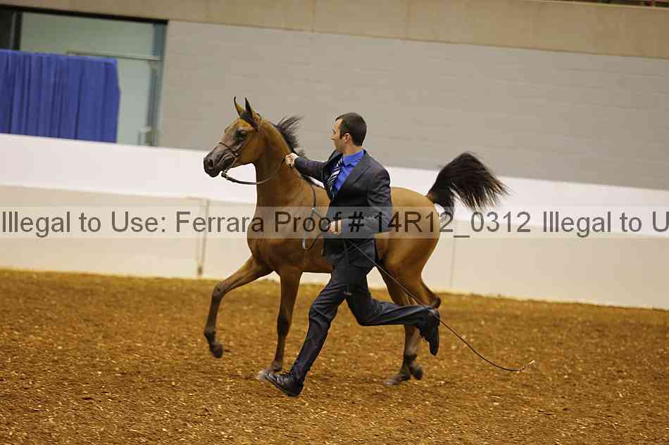 Proof 14r12_0312