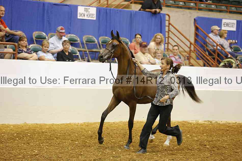 Proof 14r12_0313