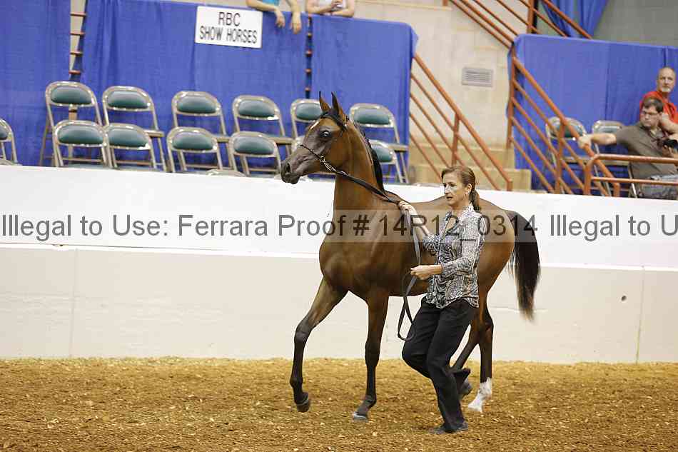 Proof 14r12_0314