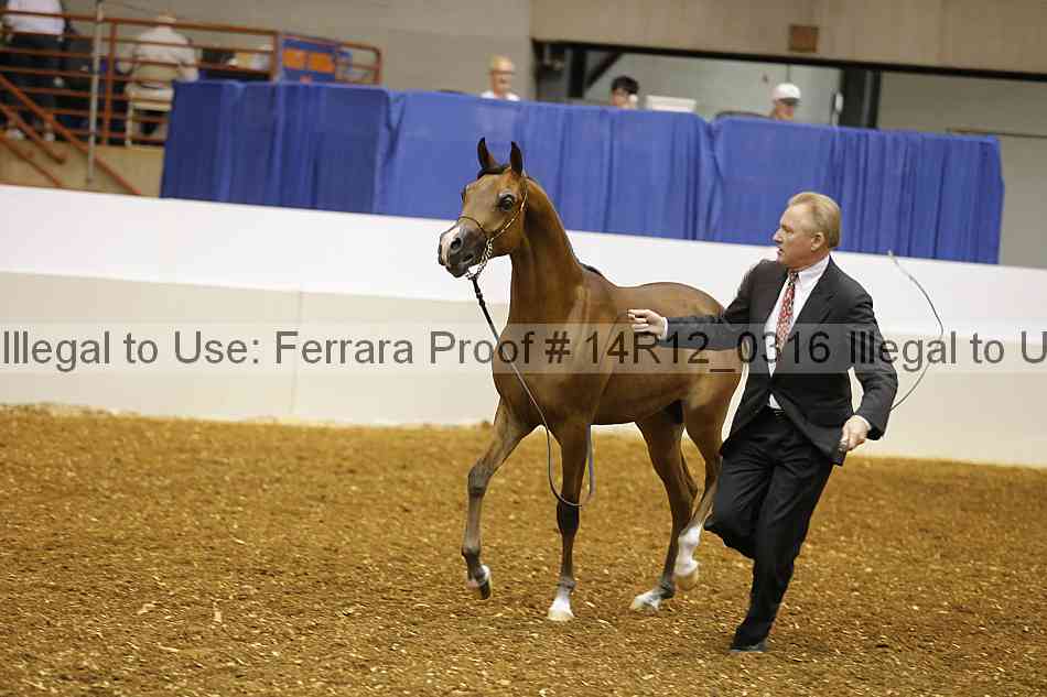 Proof 14r12_0316