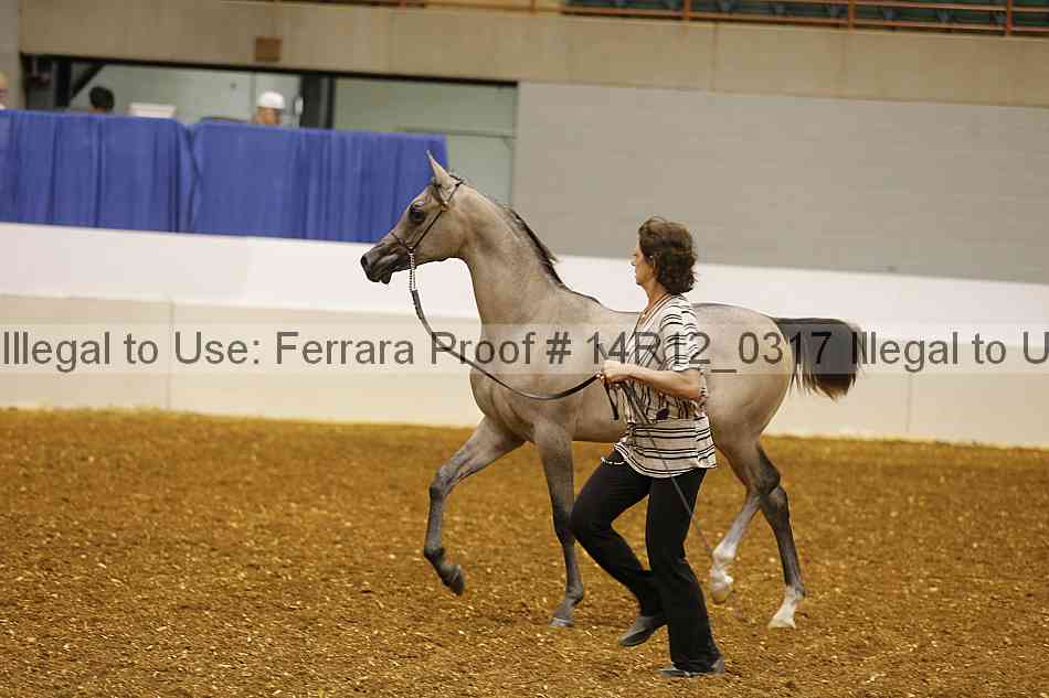 Proof 14r12_0317