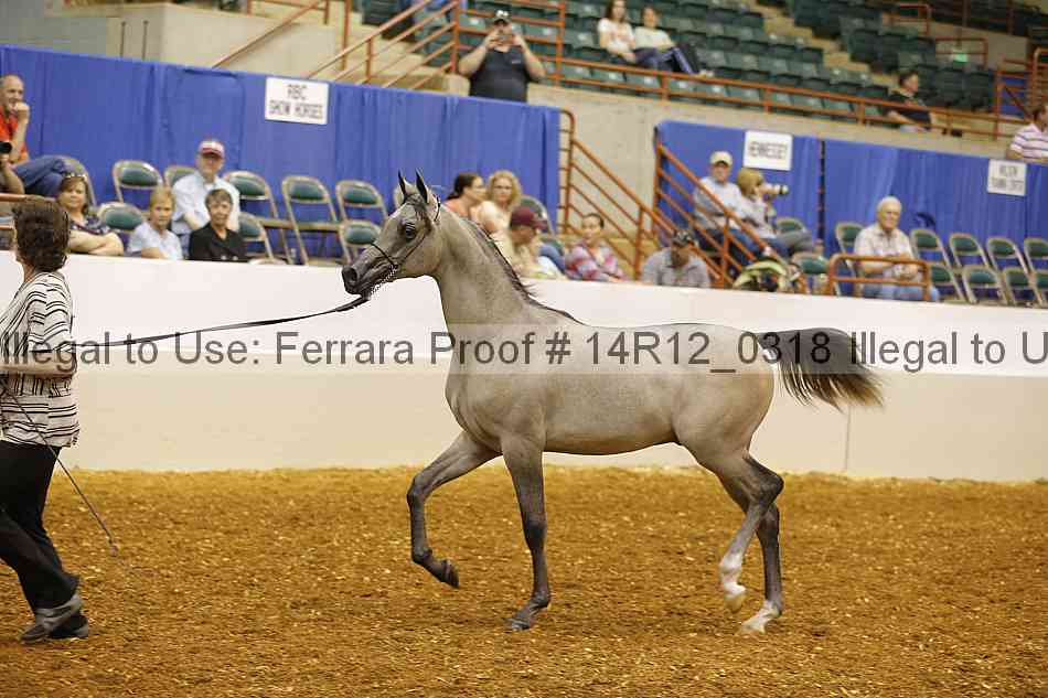 Proof 14r12_0318