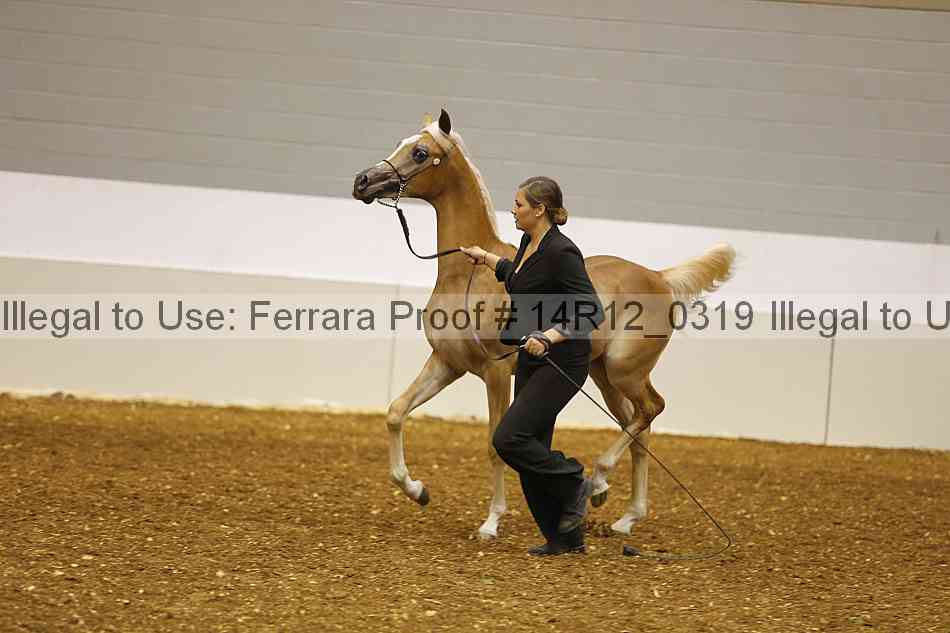 Proof 14r12_0319
