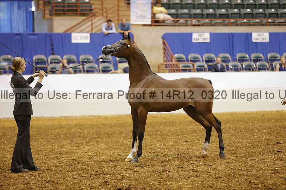 Proof 14r12_0320