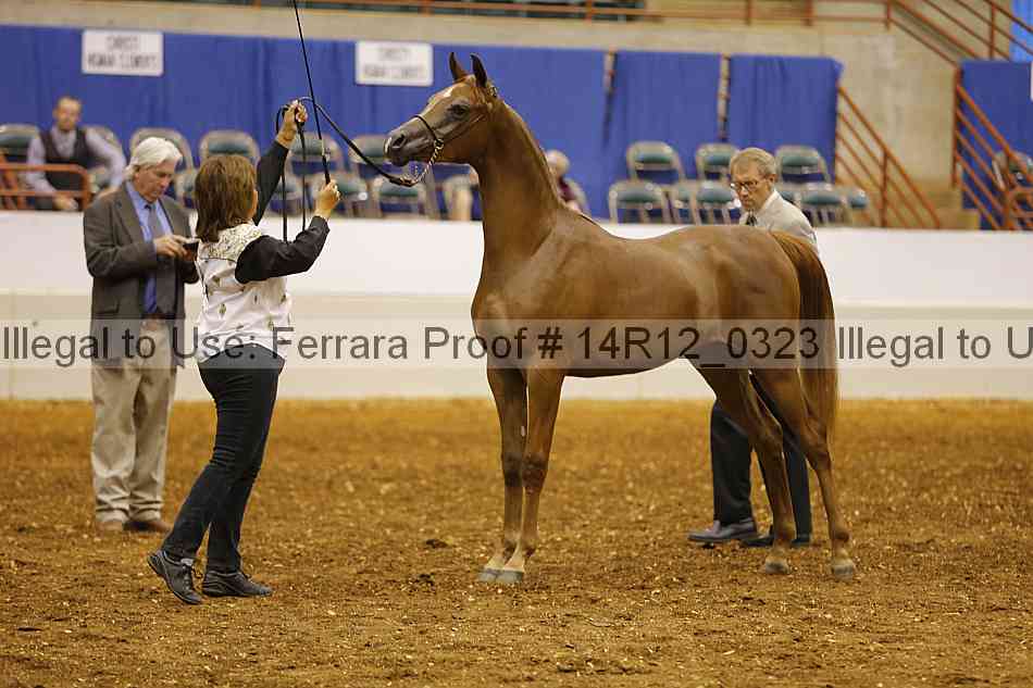 Proof 14r12_0323
