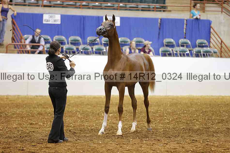 Proof 14r12_0324