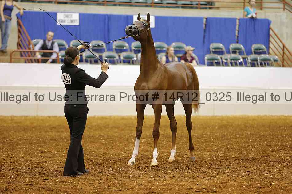 Proof 14r12_0325