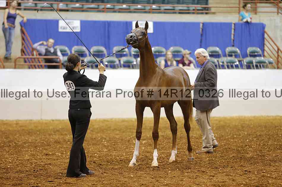 Proof 14r12_0326