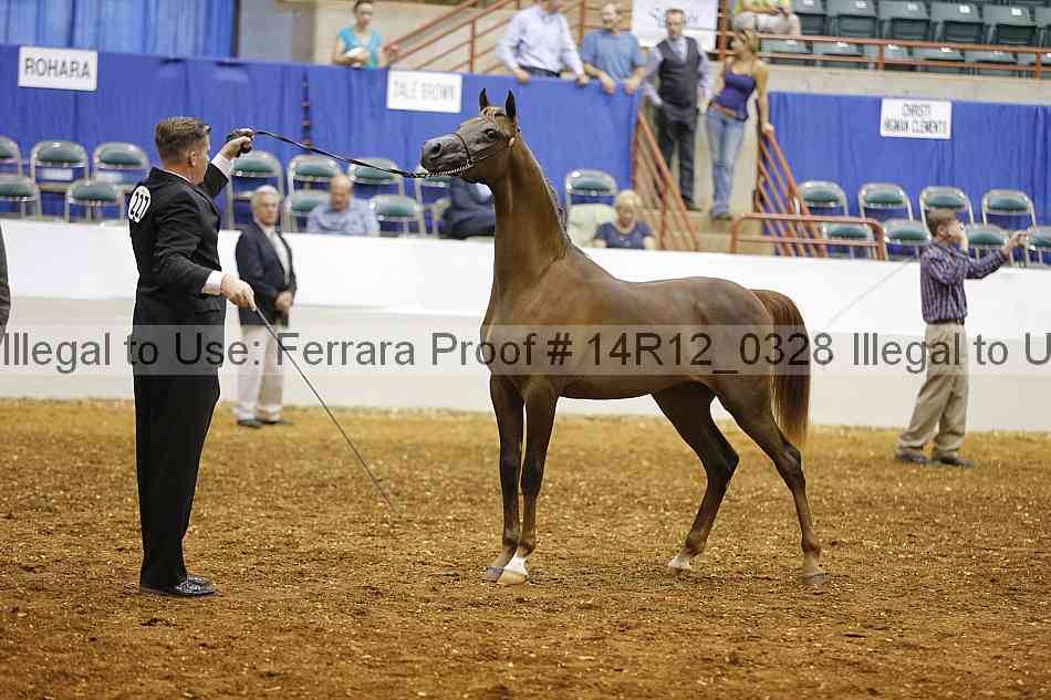 Proof 14r12_0328
