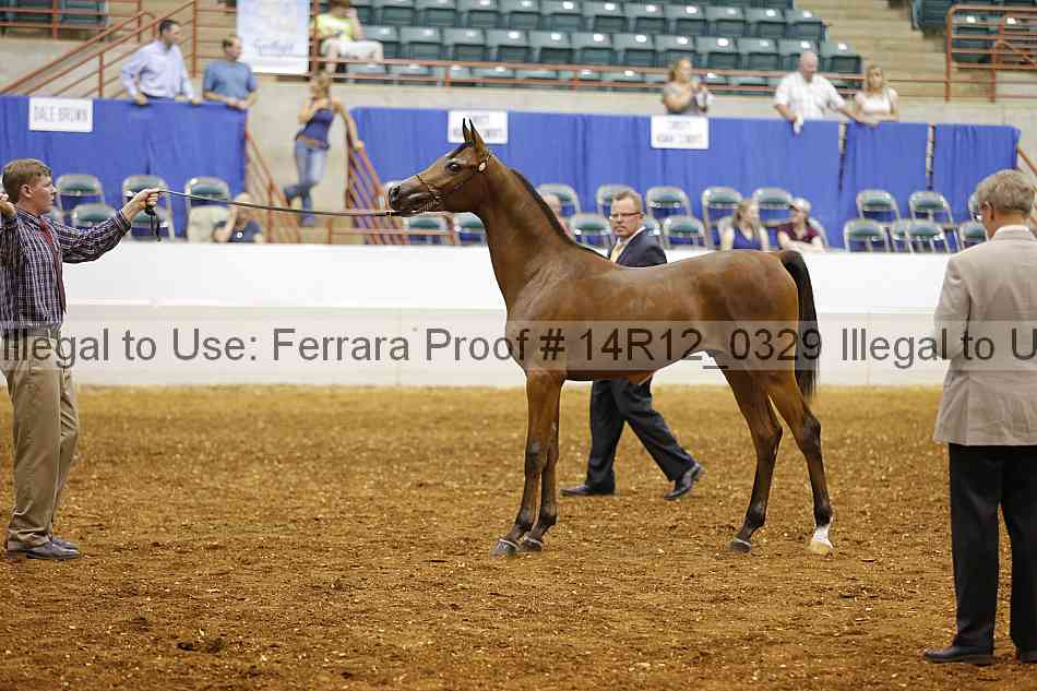 Proof 14r12_0329