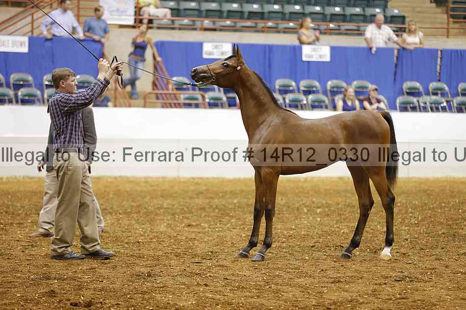 Proof 14r12_0330