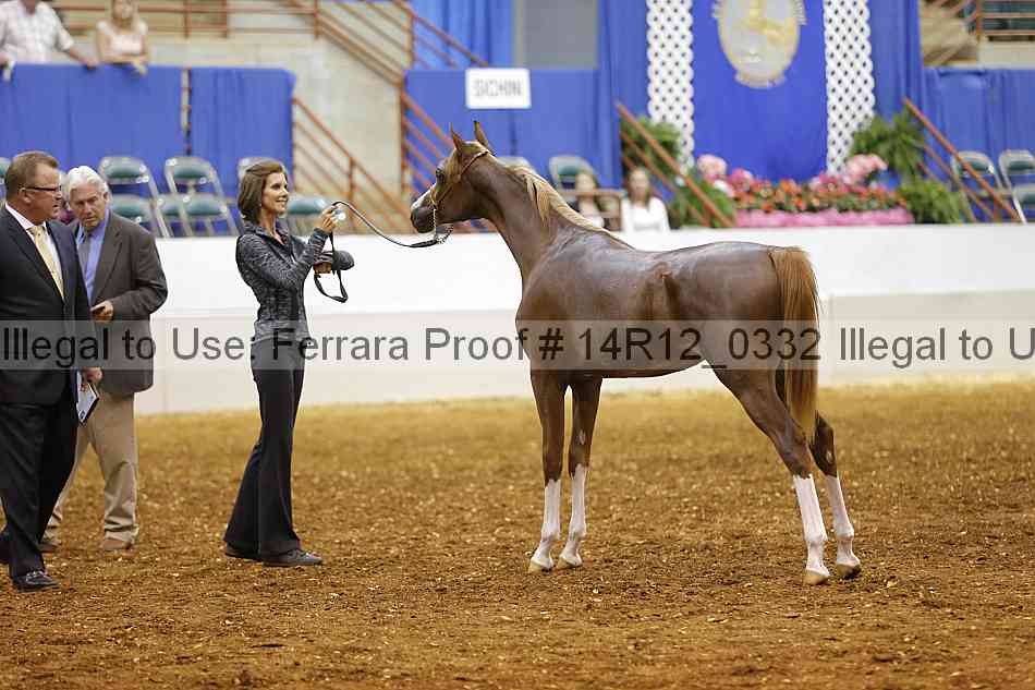 Proof 14r12_0332