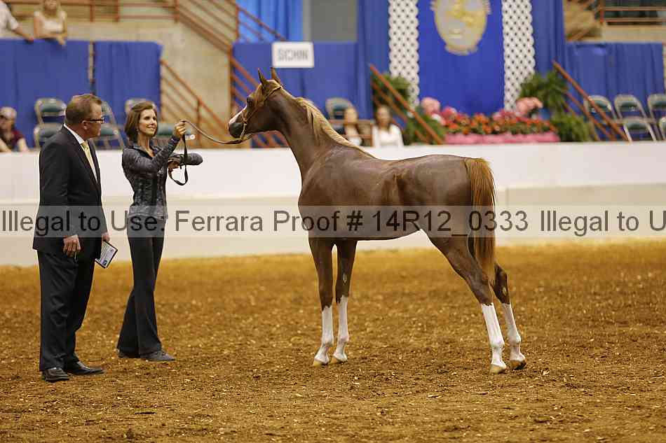 Proof 14r12_0333