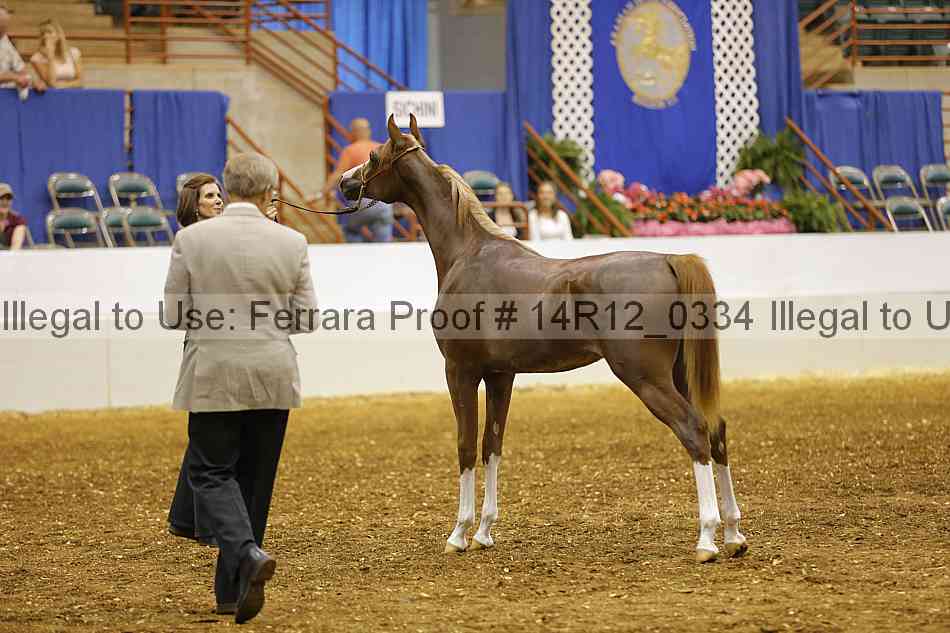 Proof 14r12_0334