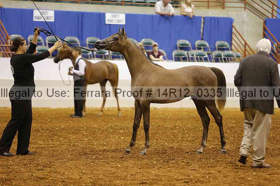 Proof 14r12_0335