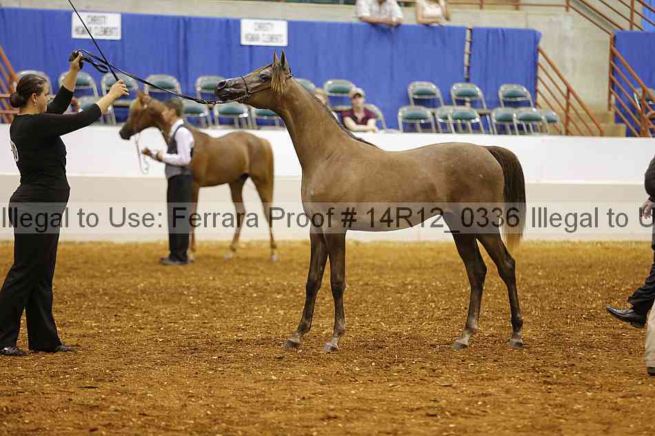 Proof 14r12_0336